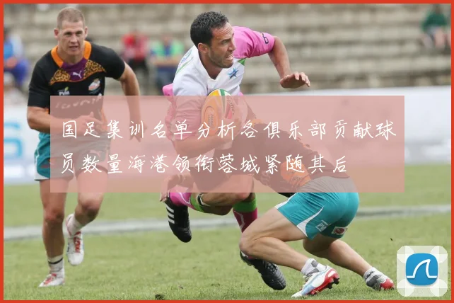 国足集训名单分析各俱乐部贡献球员数量海港领衔蓉城紧随其后